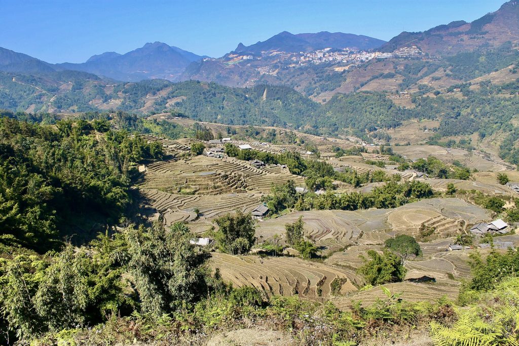Kinh nghiệm du lịch Sapa 3N2Đ 2026 - Fansipan ruộng bậc thang Cát Cát mùa lúa chín 4-9tr