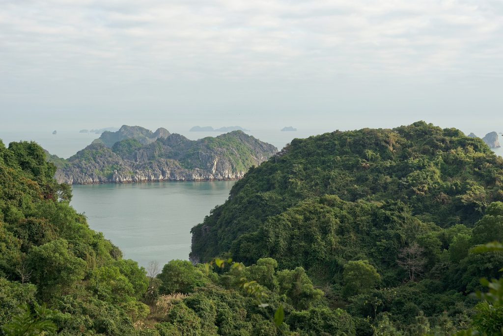 Vé máy bay Hải Phòng giá rẻ 2026 - 7 cách săn vé 0Đ Vietjet VNA Bamboo từ 590K
